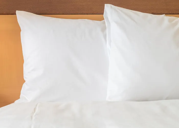 Hotel Express Peru-lasalle Area By Ihg